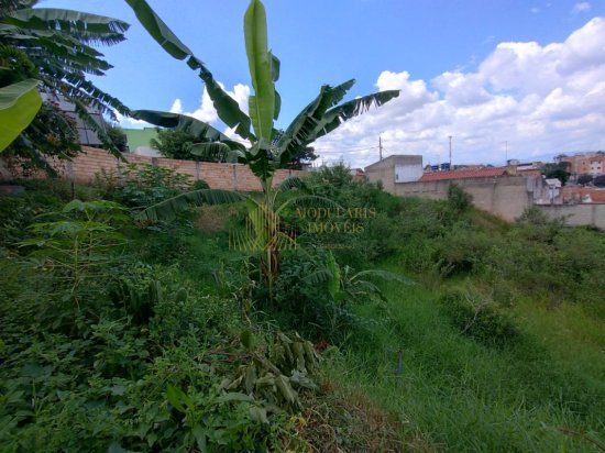 terreno-venda-terreno-alto-das-flores-885410