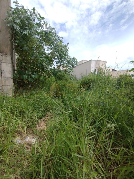 terreno-venda-terreno-ponte-alta-885430